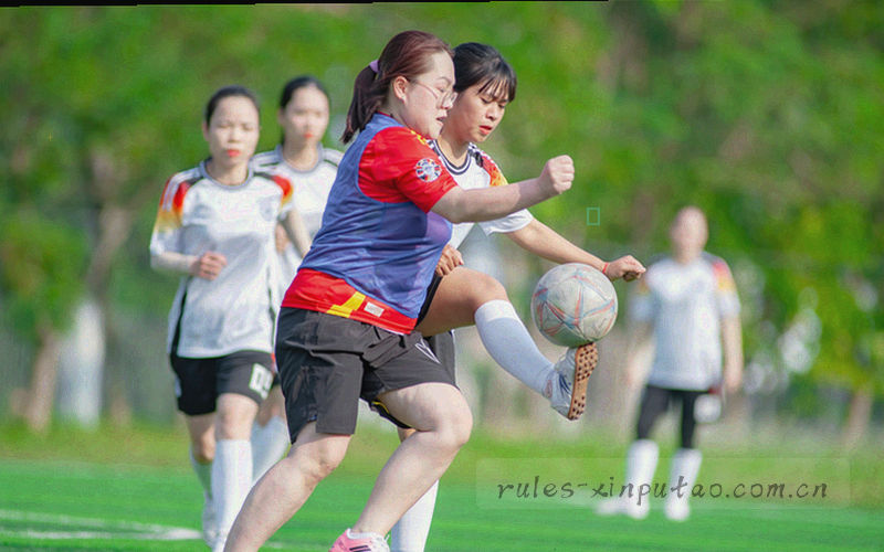九级台阶示意图，每级台阶标注段位名称与分数区间，台阶边缘用青提绿勾边